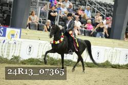 24R13_07365 thumbnail