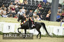 24R13_07370 thumbnail