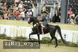 24R13_07373 thumbnail
