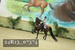 24R13_07374 thumbnail