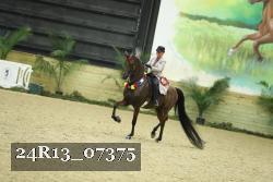 24R13_07375 thumbnail
