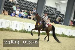 24R13_07376 thumbnail