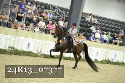 24R13_07377 thumbnail