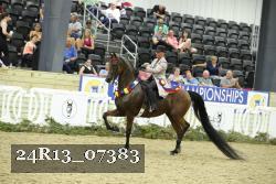 24R13_07383 thumbnail
