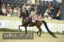 24R13_07385 thumbnail