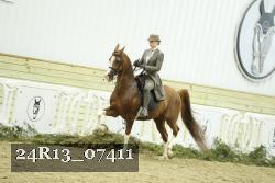 24R13_07411 thumbnail