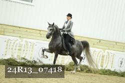 24R13_07418 thumbnail
