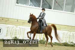 24R13_07421 thumbnail