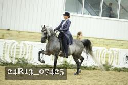 24R13_07425 thumbnail