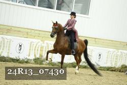 24R13_07430 thumbnail