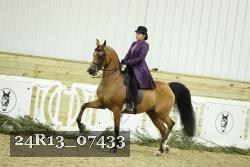 24R13_07433 thumbnail