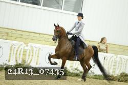 24R13_07435 thumbnail