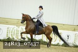 24R13_07437 thumbnail