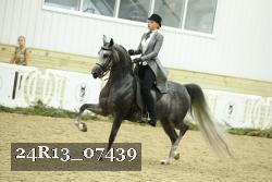 24R13_07439 thumbnail