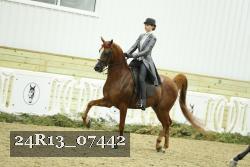 24R13_07442 thumbnail
