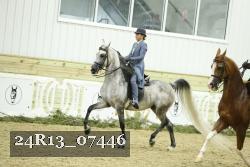 24R13_07446 thumbnail