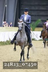 24R13_07450 thumbnail