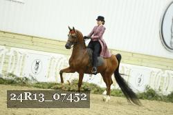24R13_07452 thumbnail