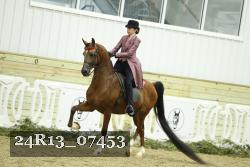 24R13_07453 thumbnail