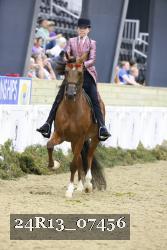 24R13_07456 thumbnail