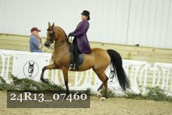 24R13_07460 thumbnail