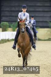 24R13_07465 thumbnail