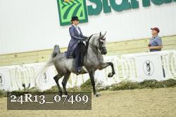 24R13_07469 thumbnail