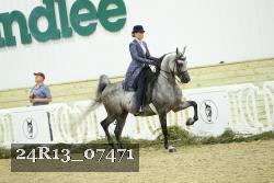 24R13_07471 thumbnail