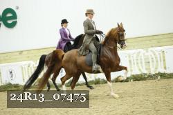 24R13_07475 thumbnail
