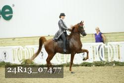 24R13_07477 thumbnail