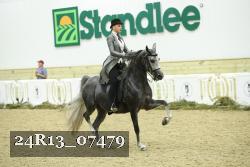 24R13_07479 thumbnail