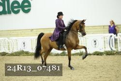 24R13_07481 thumbnail
