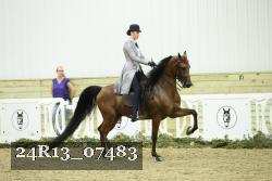 24R13_07483 thumbnail