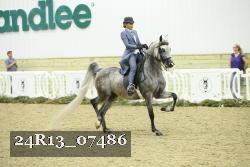 24R13_07486 thumbnail