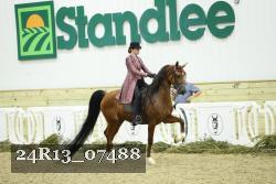 24R13_07488 thumbnail