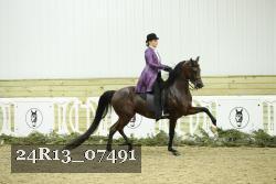 24R13_07491 thumbnail