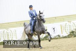24R13_07499 thumbnail