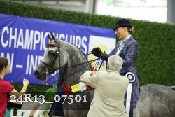 24R13_07501 thumbnail