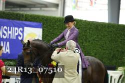 24R13_07510 thumbnail