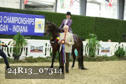 24R13_07514 thumbnail