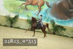 24R13_07515 thumbnail