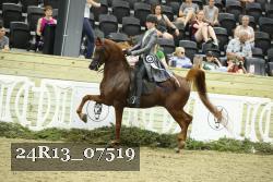 24R13_07519 thumbnail
