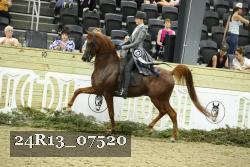 24R13_07520 thumbnail