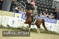 24R13_07521 thumbnail