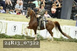 24R13_07522 thumbnail