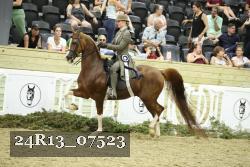24R13_07523 thumbnail