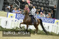 24R13_07524 thumbnail