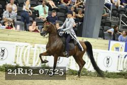 24R13_07525 thumbnail