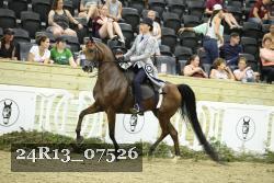 24R13_07526 thumbnail