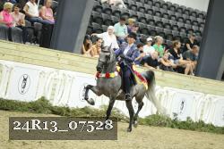 24R13_07528 thumbnail
